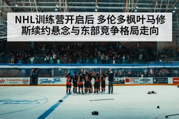 ice hockey arena crowd